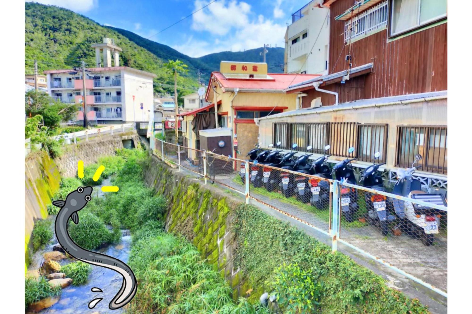 Amami Guest House Showa-So Setouchi  Dış mekan fotoğraf